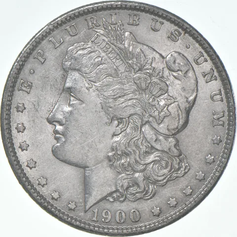 AU+ 1900 (P) Morgan Silver Dollar (1 coin)