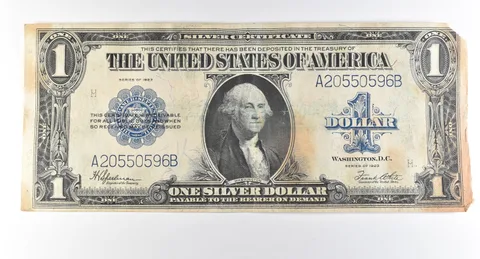 1923 $1 Silver Certificate Large Note Blue Seal *2960