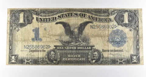 1899 $1 Silver Certificate Large Note Blue Seal *3613