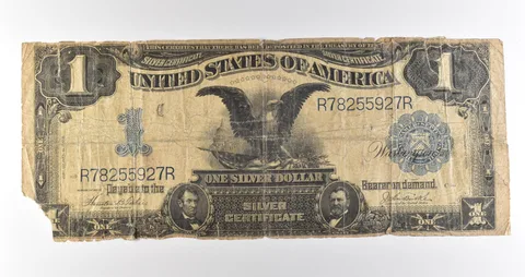 1899 $1 Silver Certificate Black Eagle Blue Seal Large Note Fr#233 *4623