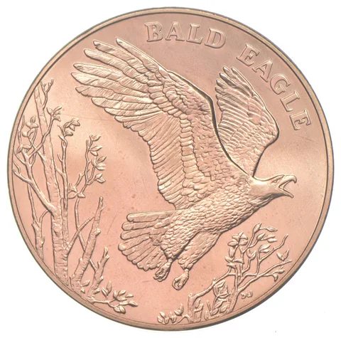 2003 National Wildlife Refuge Bald Eagle Bronze Medal Uncirculated 38.1mm