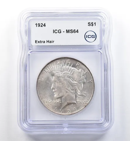 1924 Peace Silver Dollar Extra Hair VAM 8A MS64 ICG *6040