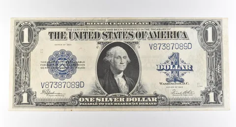 1923 $1 Silver Certificate Large Note Blue Seal *2957