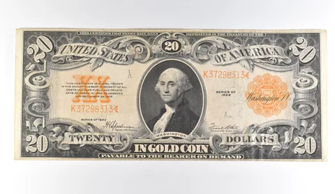 1922 $20 Gold Certificate Large Note Yellow Seal *1703