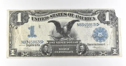 1899 $1 Silver Certificate Black Eagle Blue Seal Large Note Fr#228 *4631