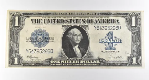 1923 $1 Silver Certificate Large Note Blue Seal *2942