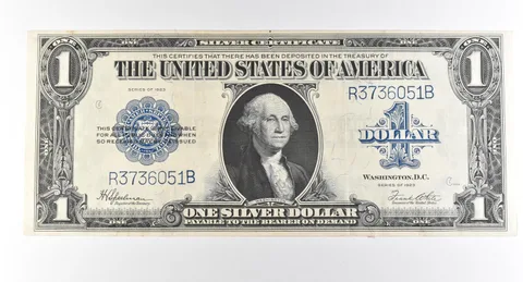 1923 $1 Silver Certificate Large Note Blue Seal *2994