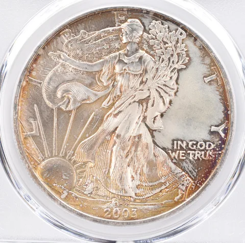 2003 American Silver Eagle MS66 PCGS Beautiful Tone *1420