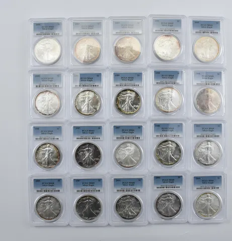 Lot (20) Nice Tone American Silver Eagle PCGS Holder *2000