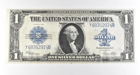1923 $1 Silver Certificate Large Note Blue Seal *3008
