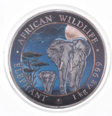 2015 Somali 2000 Shillings Silver Elephant 1 Kilo Colorized *0978
