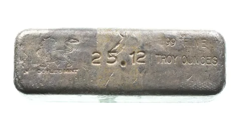 25.12 Troy Oz Silver Bar Doyle Mint *2590