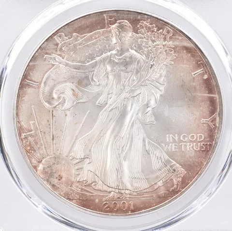 2001 American Silver Eagle MS67 PCGS Beautiful Tone *1316