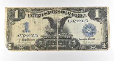 1899 $1 Silver Certificate Large Note Blue Seal *2870