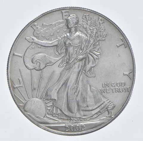 Better Date 2002 American Silver Eagle 1 Troy Oz .999 Fine Silver *508