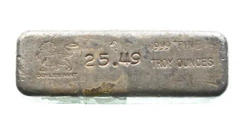 25.49 Troy Oz Silver Bar Doyle Mint *2598
