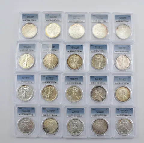 Lot (20) Nice Tone American Silver Eagle PCGS Holder *2894
