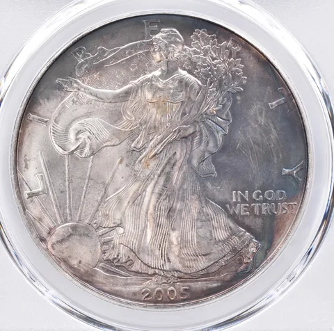 2005 American Silver Eagle MS66 PCGS Beautiful Tone *1434
