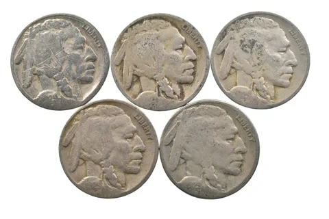 BETTER Lot 1929-S 1929-D 1929-D 1929-S 1929-S Buffalo Nickel Collection *152