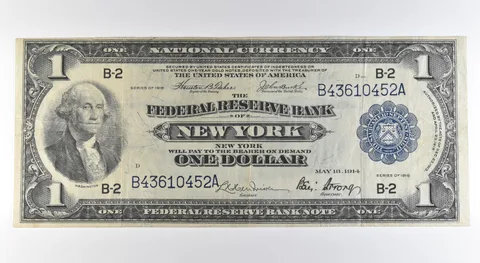 1918 $1 New York NY National Currency Large Note Blue Seal Fr#712 a0548