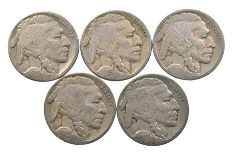 BETTER Lot 1929-S 1929-S Worn Date 1929-S 1929-S Buffalo Nickel Collection *120