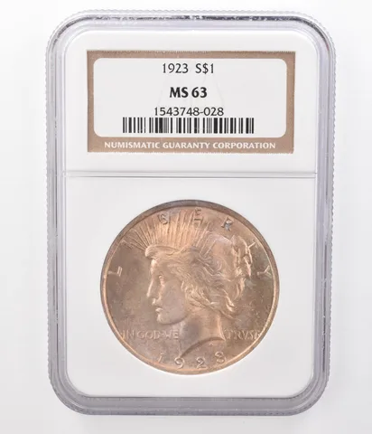 1923 Peace Silver Dollar MS63 NGC Beautifully Toned *8373