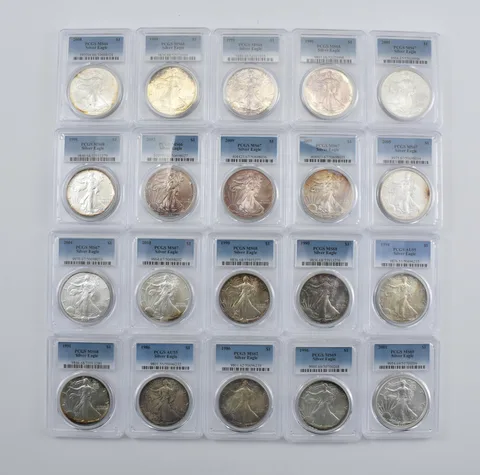 Lot (20) Nice Tone American Silver Eagle PCGS Holder *2900