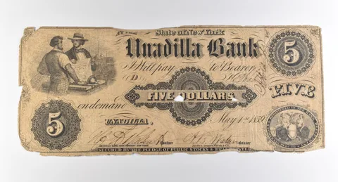 1859 $5 Unadilla Bank NY Obsolete Note *3823