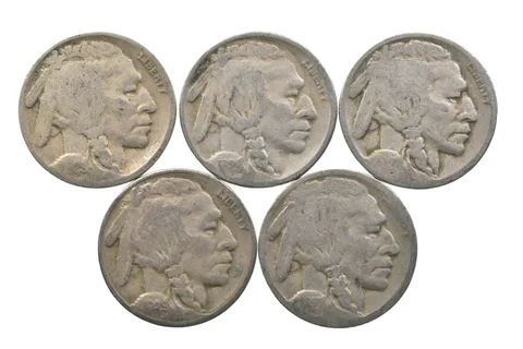 BETTER Lot 1929-D 1928-S 1927-D 1929-S 1927-D Buffalo Nickel Collection *144