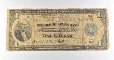 1918 $1 St Louis MO National Currency Blue Seal Large Note Fr#732 *4665