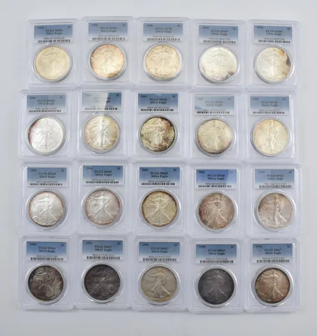 Lot (20) Nice Tone American Silver Eagle PCGS Holder *2908
