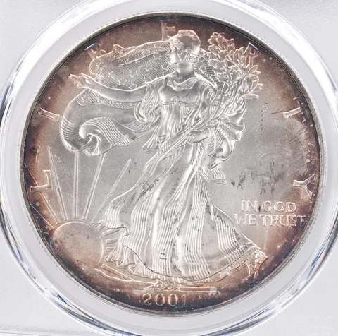 2001 American Silver Eagle MS64 PCGS Beautiful Tone *1490
