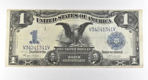1899 $1 Silver Certificate Large Note Blue Seal *2873