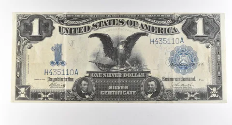 1899 $1 Silver Certificate Large Note Blue Seal *2842
