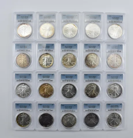 Lot (20) Nice Tone American Silver Eagle PCGS Holder *2002