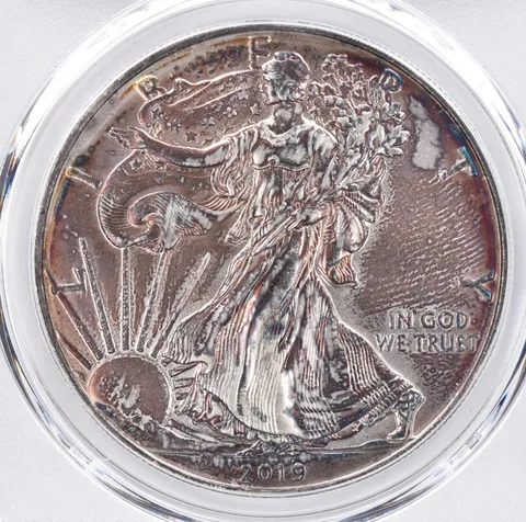 2019 American Silver Eagle MS64 PCGS Beautiful Tone *1485