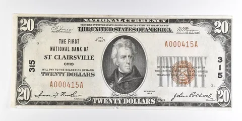 1929 $20 St Clairsville OH National Currency Note CH 315 a9860