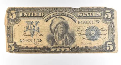 1899 $5 Silver Certificate Large Note Blue Seal Chief *2767