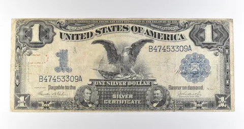 1899 $1 Silver Certificate Black Eagle Blue Seal Large Note Fr#233 *4601