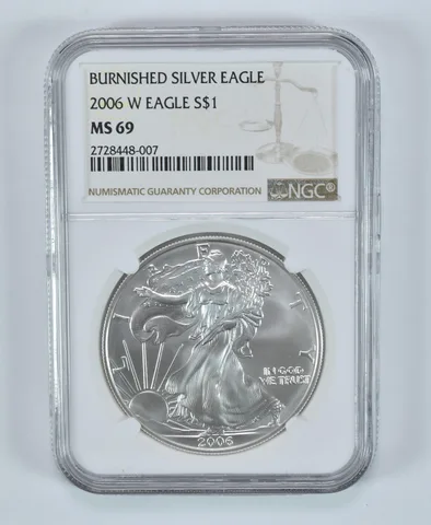 2006-W Burnished Silver Eagle MS69 NGC Brown Label