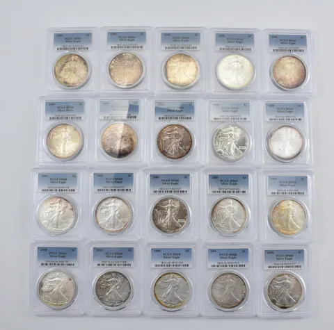 Lot (20) Nice Tone American Silver Eagle PCGS Holder *2885