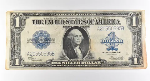1923 $1 Silver Certificate Large Note Blue Seal *2958