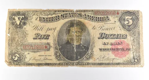 1891 $5 Treasury Note Star Note Large Note Red Seal *2759