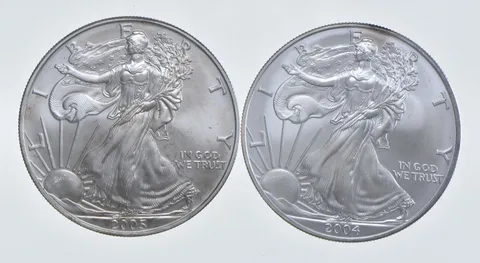 2005 - 2004 American Silver Eagle 1 T Oz .999 Lot of 2 *253