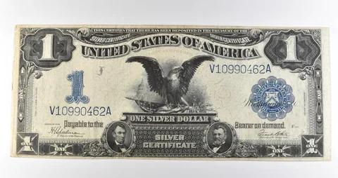 1899 $1 Silver Certificate Large Note Blue Seal *3624