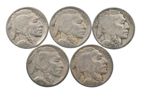 BETTER Lot 1929-D 1928-S 1928-D 1928-S 1929-D Buffalo Nickel Collection *117