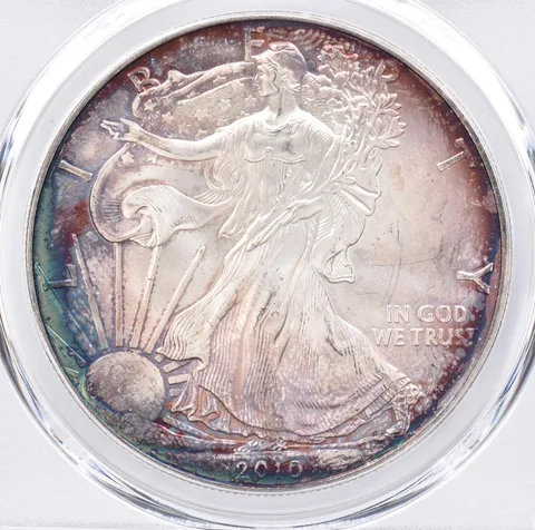 2010 American Silver Eagle MS66 PCGS Beautiful Tone *1432