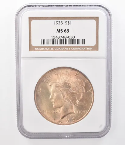 1923 Peace Silver Dollar MS63 NGC Beautifully Toned *8380