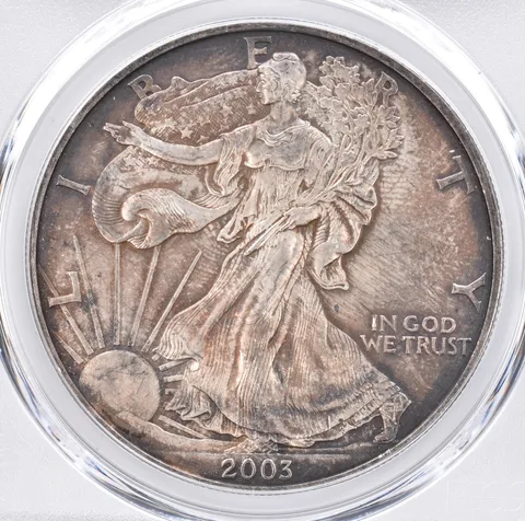 2003 American Silver Eagle MS65 PCGS Beautiful Tone *1467