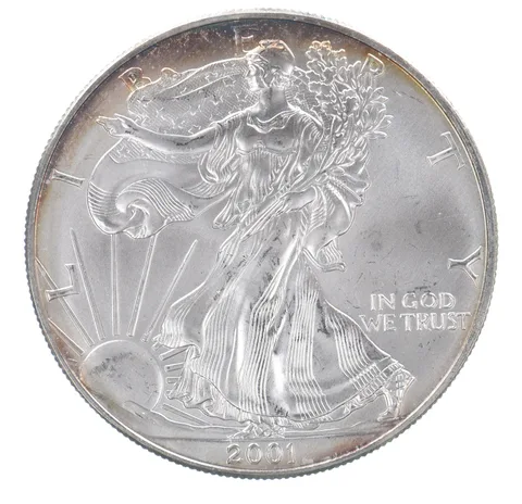 Beautiful Toned - 2001 American Silver Eagle 1 Troy Oz .999 Fine Silver *096